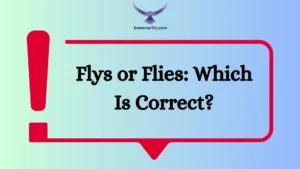Flys or Flies