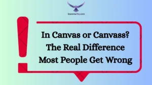 In Canvas or Canvass? The Real Difference Most People Get Wrong