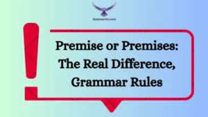 Premise or Premises: The Real Difference, Grammar Rules