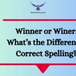 Winner or Winer: What’s the Difference, Correct Spelling?