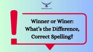 Winner or Winer: What’s the Difference, Correct Spelling?
