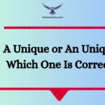 A Unique or An Unique: Which One Is Correct?