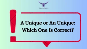 A Unique or An Unique: Which One Is Correct?