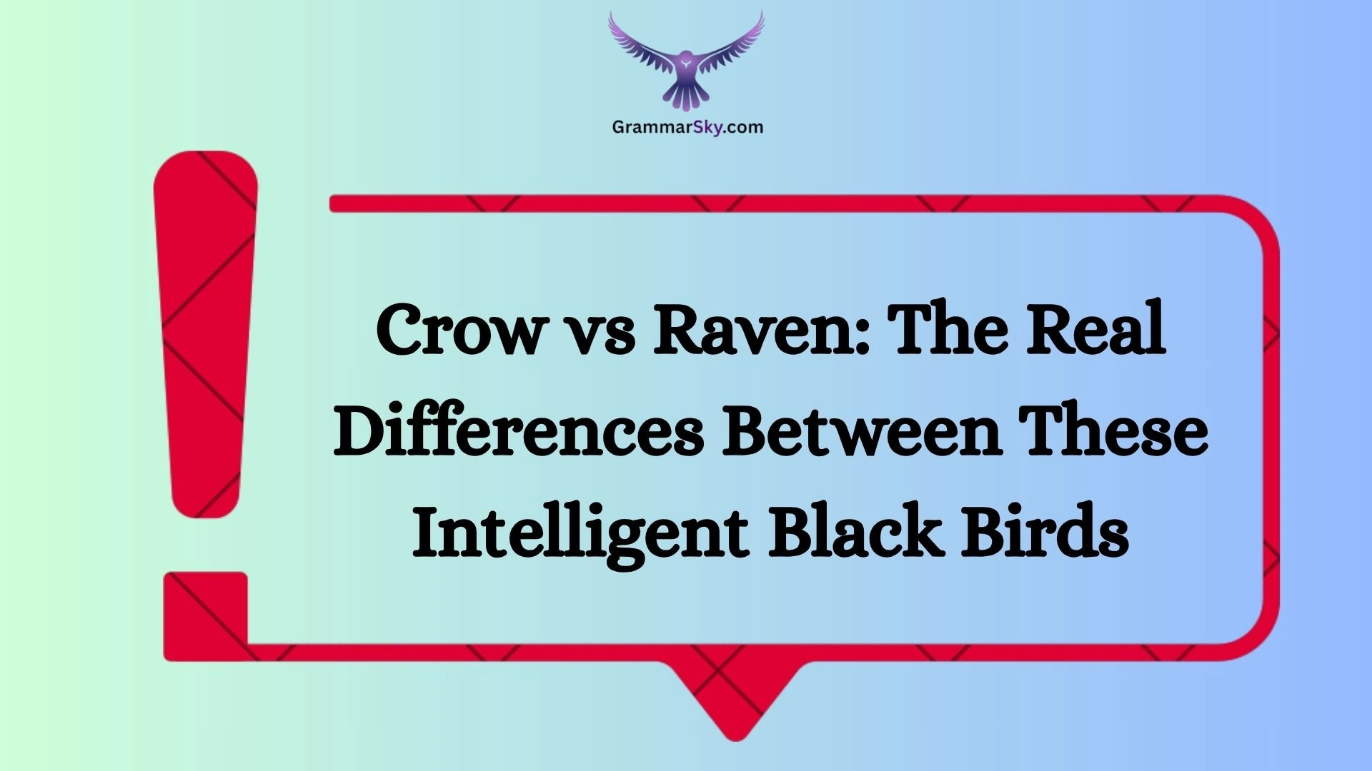 Crow vs Raven: The Real Differences Between These Intelligent Black Birds