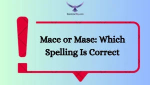 Mace or Mase: Which Spelling Is Correct