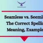 Seamless vs. Seemless: The Correct Spelling, Meaning, Examples?