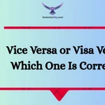 Vice Versa or Visa Versa: Which One Is Correct?
