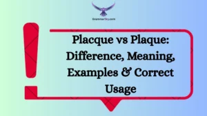 Placque vs Plaque: Difference, Meaning, Examples & Correct Usage