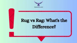 Rug vs Rag: What's the Difference?