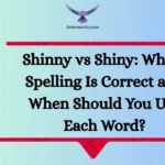 Shinny vs Shiny: Which Spelling Is Correct and When Should You Use Each Word?