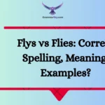 Flys vs Flies: Correct Spelling, Meaning, Examples?