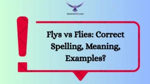 Flys vs Flies: Correct Spelling, Meaning, Examples?