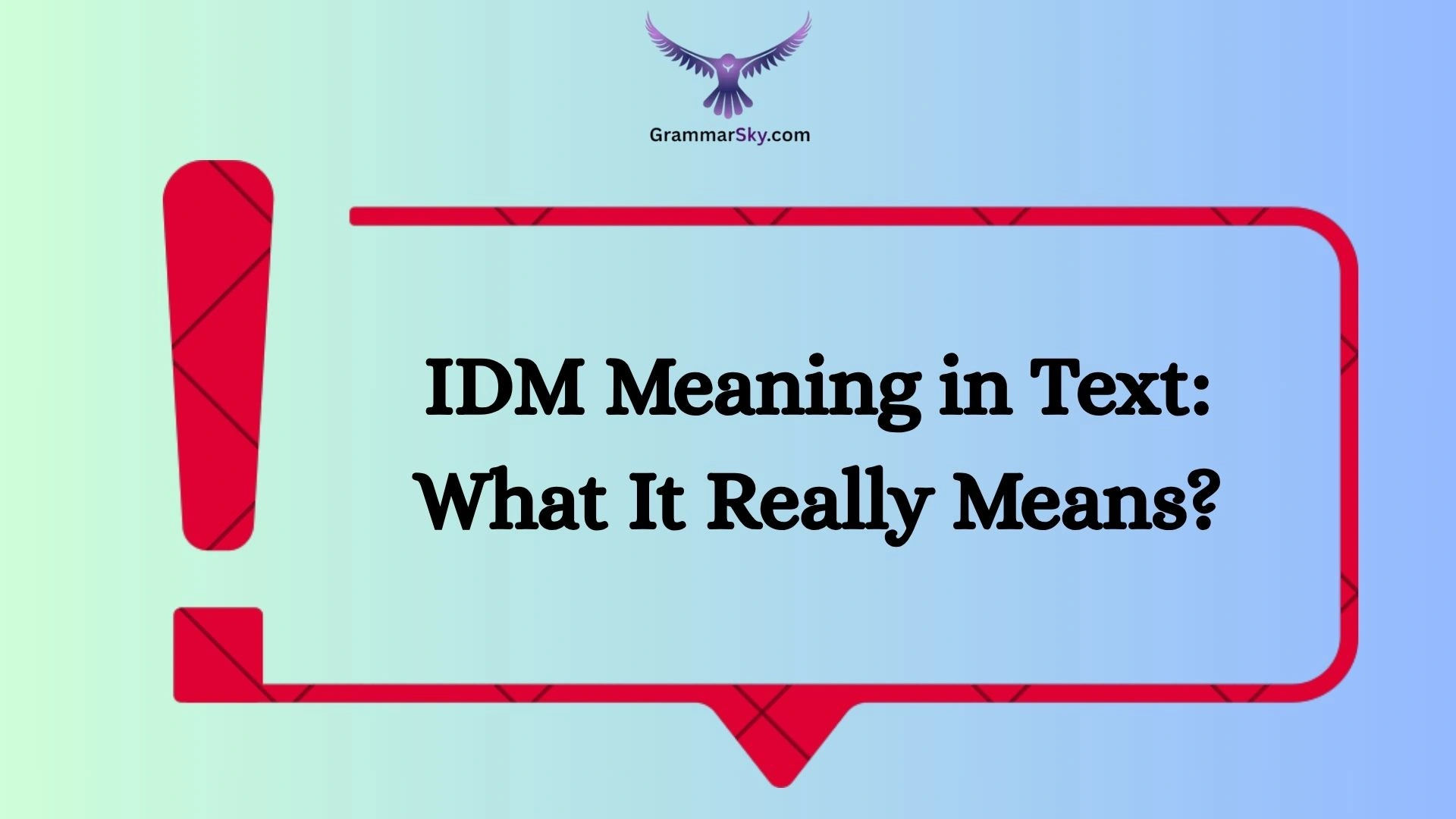 IDM Meaning in Text: What It Really Means?