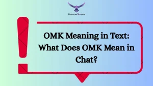 OMK Meaning in Text: What Does OMK Mean in Chat?